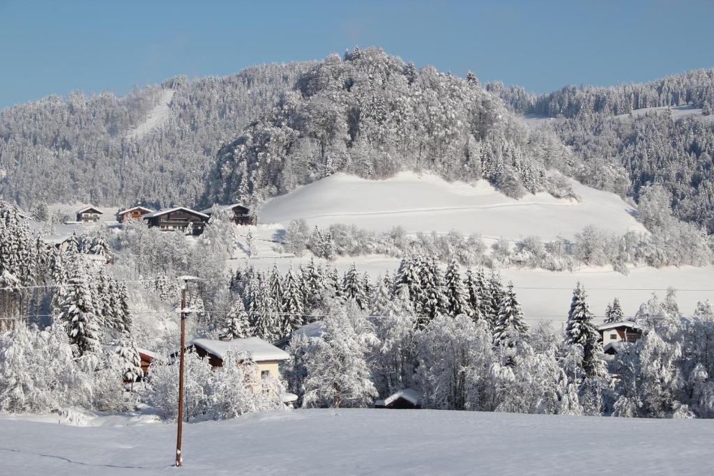 Feriendorf Wildschoenau Niederau Exteriör bild